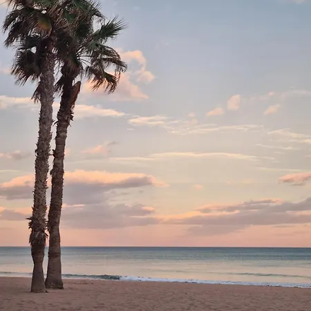 Amelia La Mata (Torrevieja)