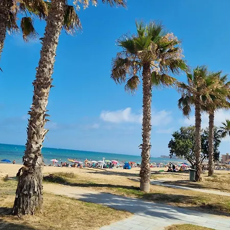 Amelia La Mata (Torrevieja)