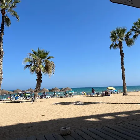 Apartment Amelia La Mata (Torrevieja)