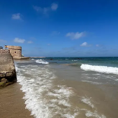 Apartamento Amelia La Mata (Torrevieja)